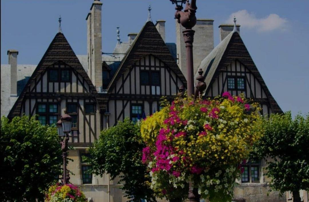 La Place Des Sacres, Proche Gare Et Centre Reims Dış mekan fotoğraf